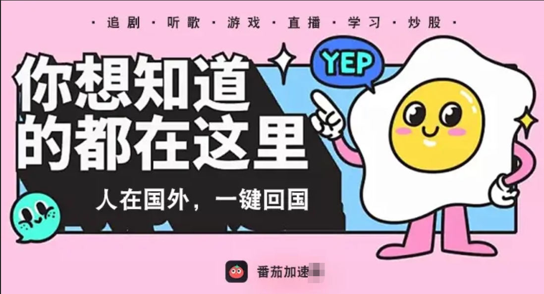 安卓vpn客户端教程